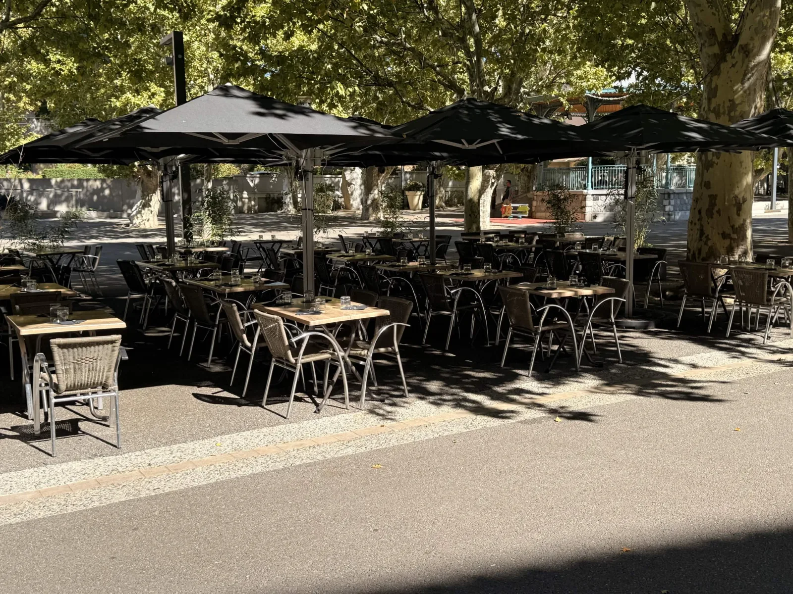 Terrasse ombragée sous les platanes
